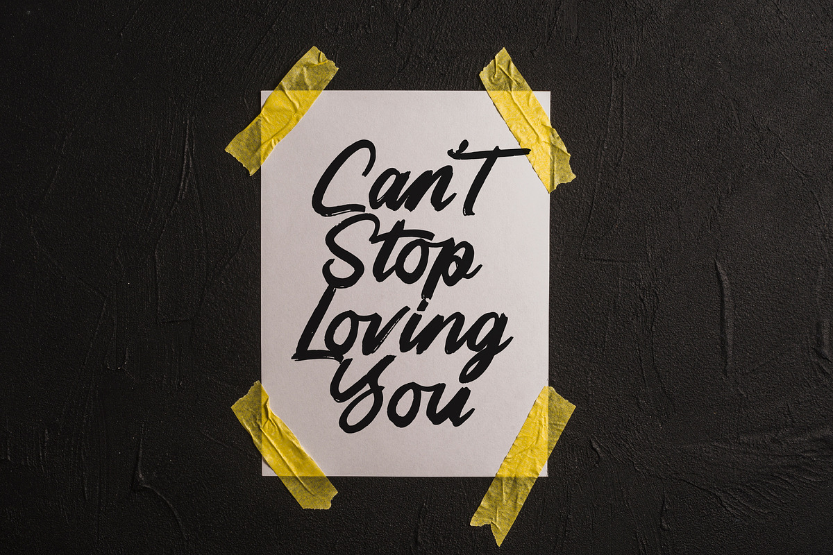 Highlag Theflora Modern Brush Font, a Script Font by Letterena Studios Script (Photo 9 of 15)