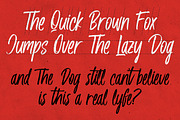 Husky Giggle - Handwriting Font, a Script Font by Konstantine Studio (Thumbnail 8 of 12)