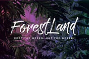 Paradise Typeface, a Script Font by QueenType (Thumbnail 2 of 9)