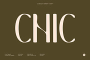 CS Belova Drawn, a Serif Font by Craft Supply Co. (Thumbnail 2 of 8)