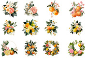 Watercolor Flower And Orange Clipart, an Illustration by DreamCafeArt (Thumbnail 4 of 7)