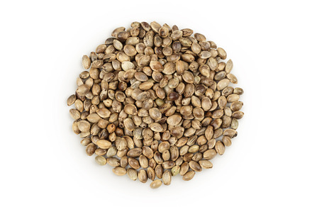 Hemp seeds isolated on white, a Food & Drink Photo by NataPhoto