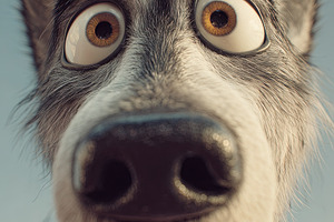 Close-up of a surprised cartoon wolf with big eyes and expressiv, an Animal Photo by Ales Munt