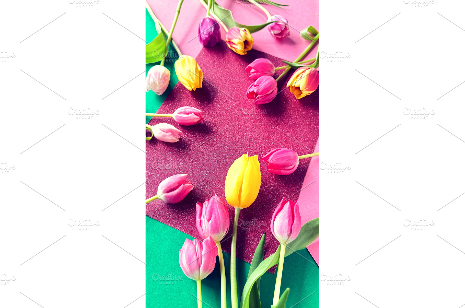 Colorful tulips arranged on vibrant, a Photo by tilialucida