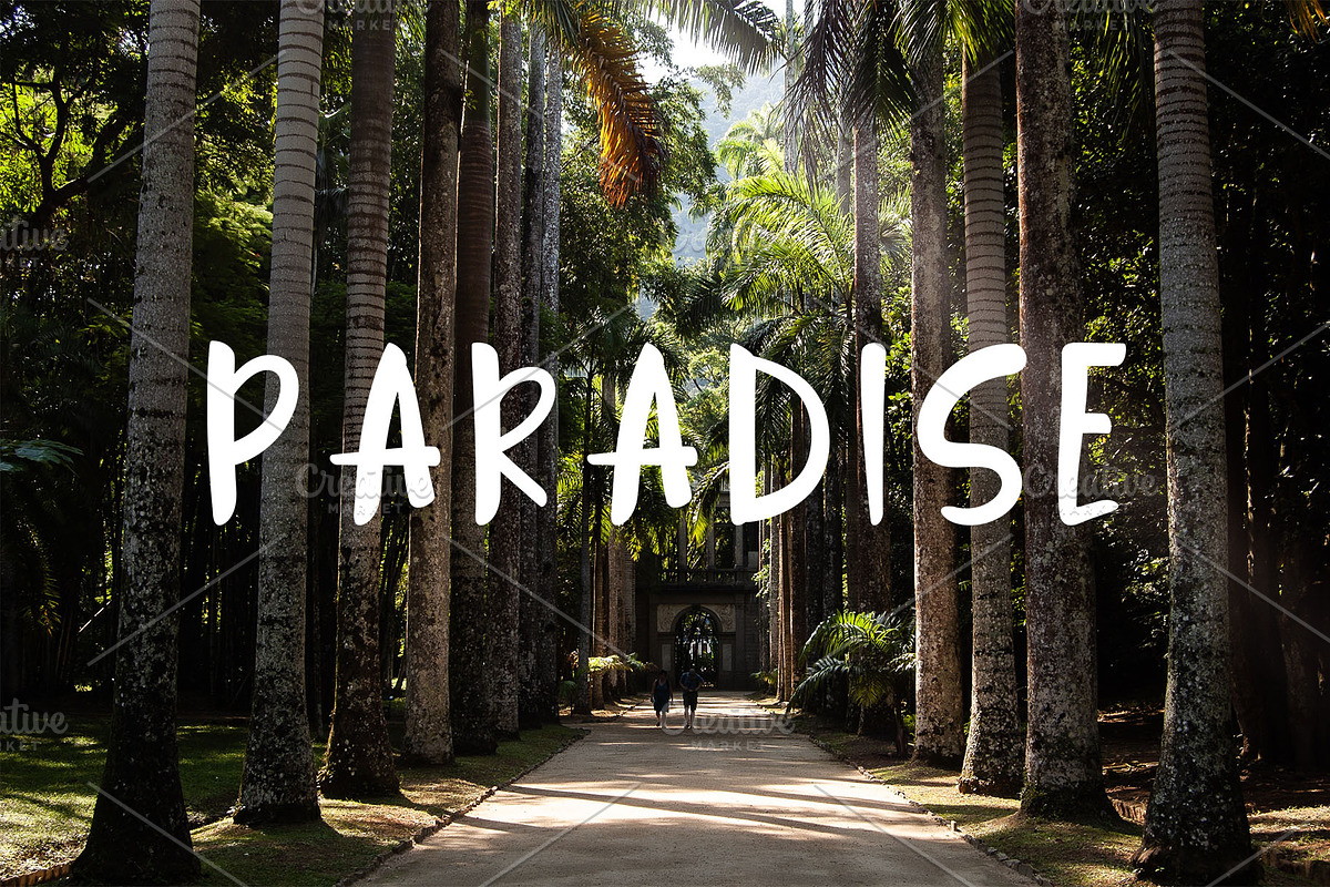 Jungle Display Font, a Script Font by Nadezda (Photo 5 of 8)