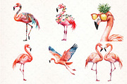 Beautiful Flamingo Clipart, an Illustration by Pixels.Craft (Thumbnail 3 of 7)