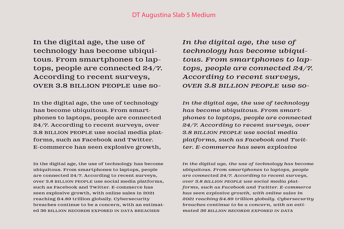 DT Augustina Slab 5 Subfamily, a Slab Serif Font by Deveze Type Foundry (Photo 10 of 31)