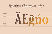 Soprani, a Sans Serif Font by insigne (Thumbnail 3 of 5)