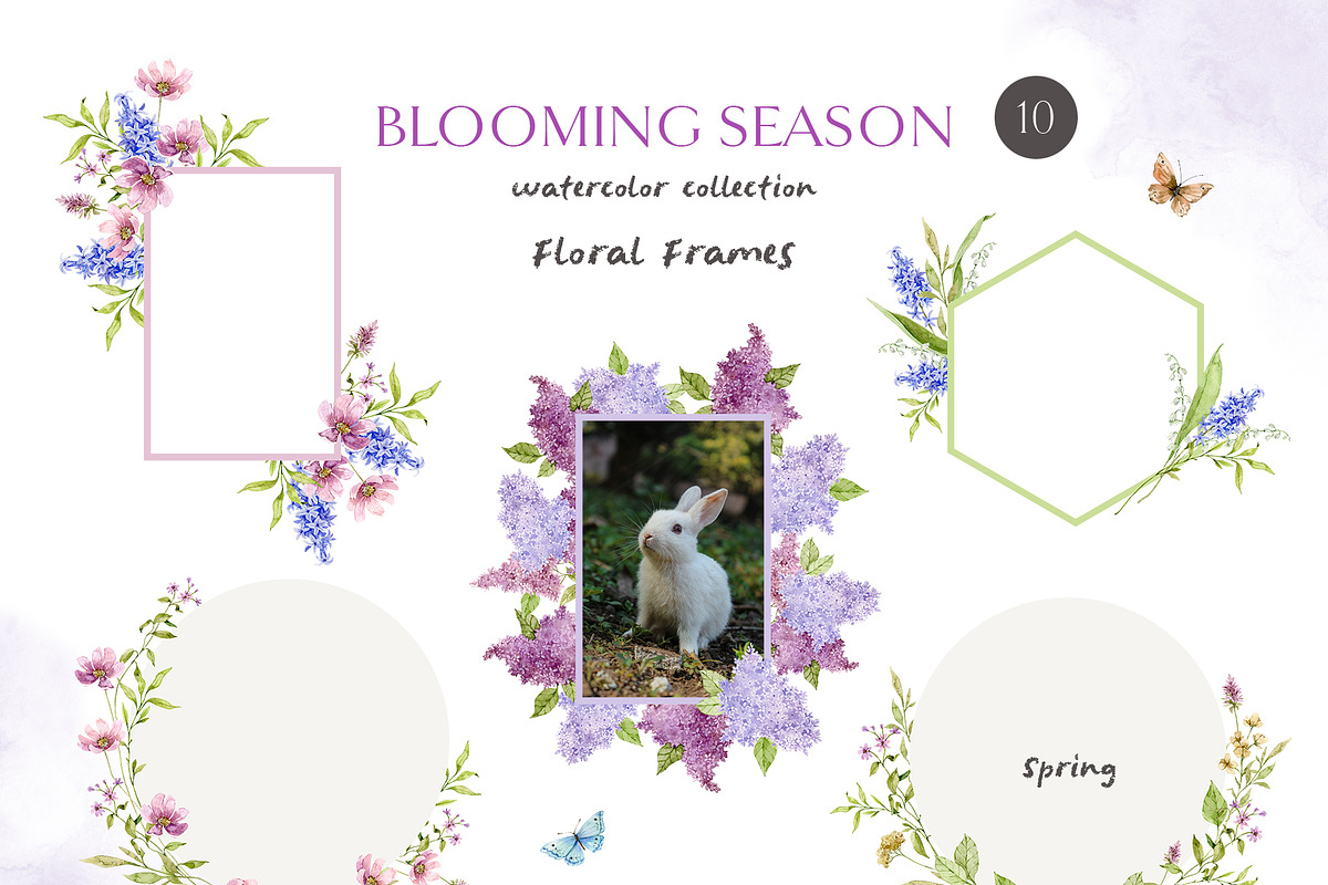 BLOOMING SEASON watercolor clipart, a Seasonal Illustration by long summer (Photo 10 of 15)