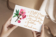 Cherry Blossom Watercolor Clip Art, an Illustration by Libby Wishes (Thumbnail 7 of 7)