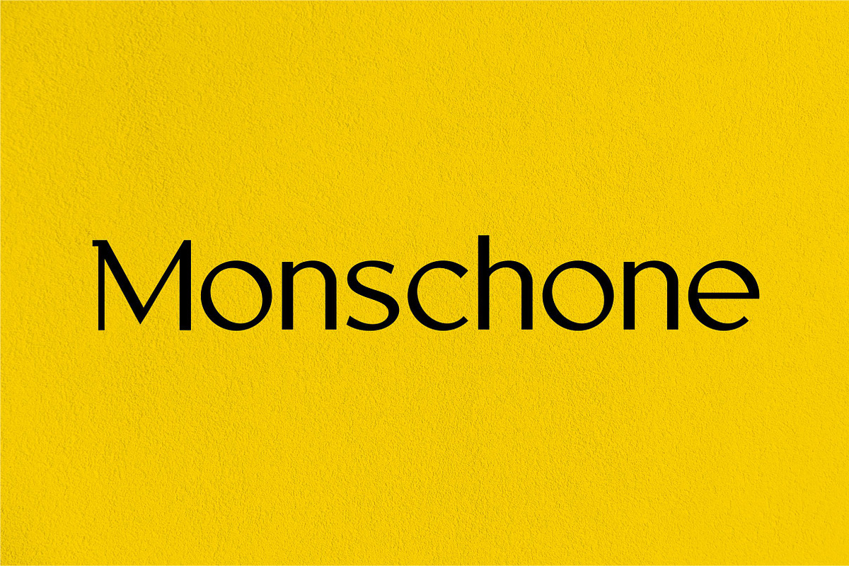 Mini-Pack Display Font Bundel+ Bonus, a Font by Bagerich Type Foundry (Photo 8 of 11)