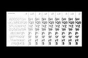 SK Synonym Grotesk — Modern Typeface, a Font by Shriftovik Type Foundry (Thumbnail 3 of 15)