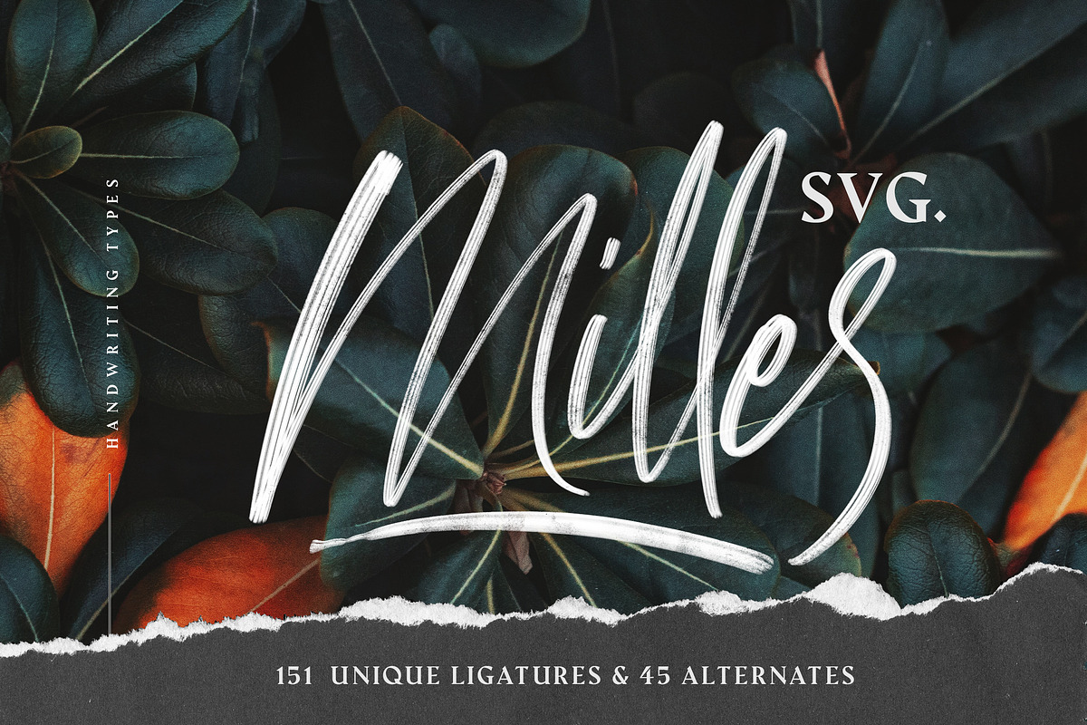 Milles Svg - Unique Handwriting