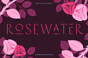 Rosewater (Variable), a Sans Serif Font by Rain Foundry (Thumbnail 1 of 10)
