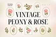 Vintage Peony & Rose Logo Set, an Object Graphic by Artflorara (Thumbnail 1 of 9)