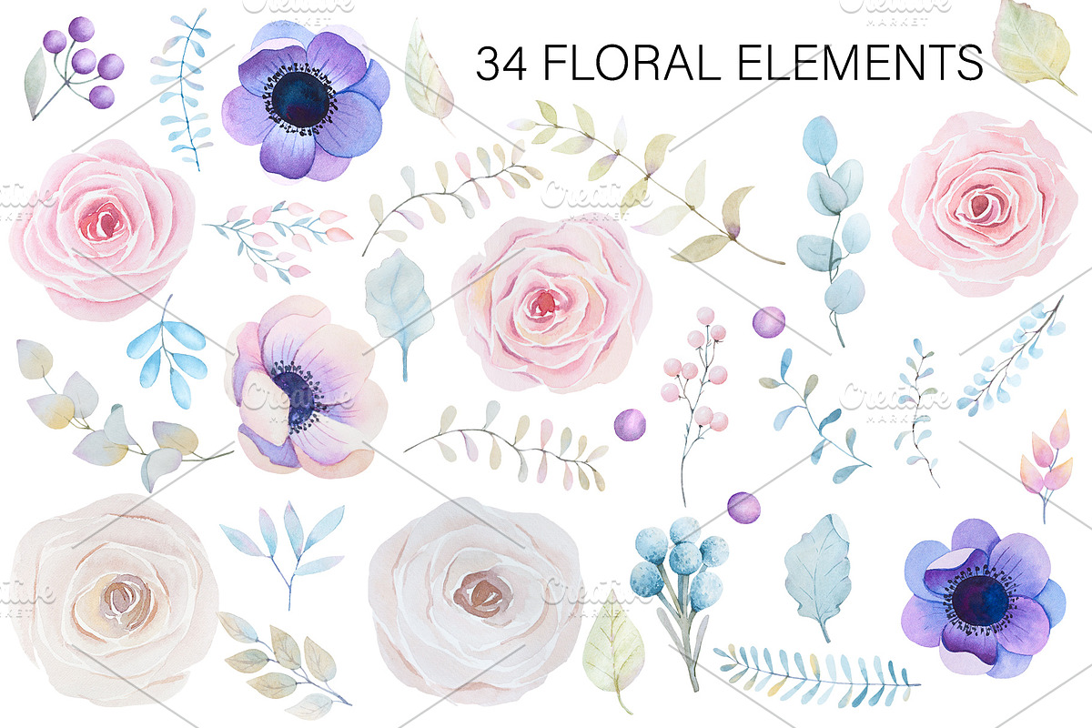 Roses and anemones watercolor floral, an Illustration by rosypatterns (Photo 3 of 8)