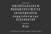 Bewitching Serif - Retro Halloween, a Serif Font by Beck McCormick (Thumbnail 10 of 10)