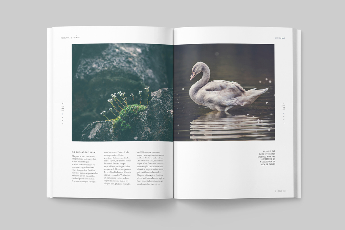 LUMINA Magazine, a Magazine Template by 46&2 Collective (Photo 6 of 27)