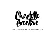 Jackfire - Wild handwritten Font, a Handwritten Font by Cititype (Thumbnail 10 of 15)