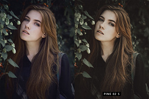 20 Moody Green LR Presets