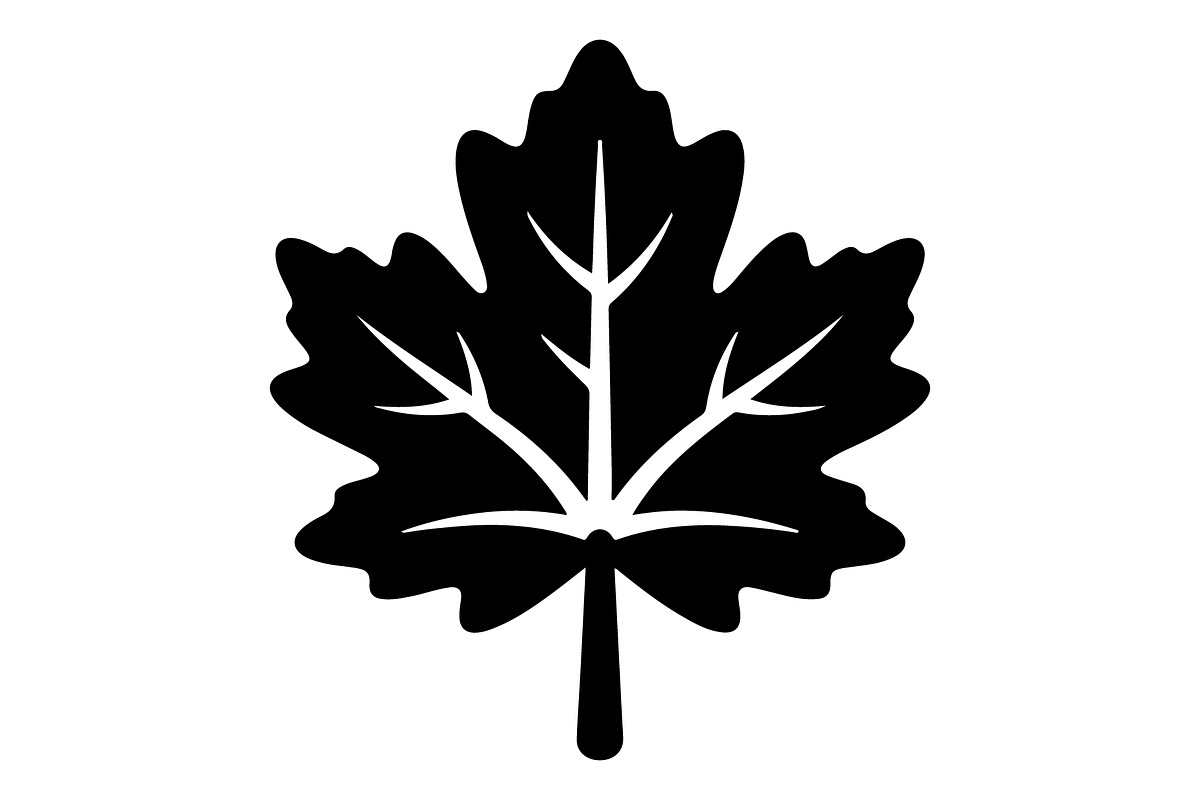 Maple Leaf Oak Leaf Autumn, an Object Graphic by Gfx_Store (Photo 9 of 15)