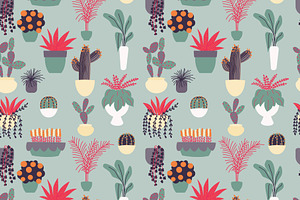 House Plants Illustrations & Pattern