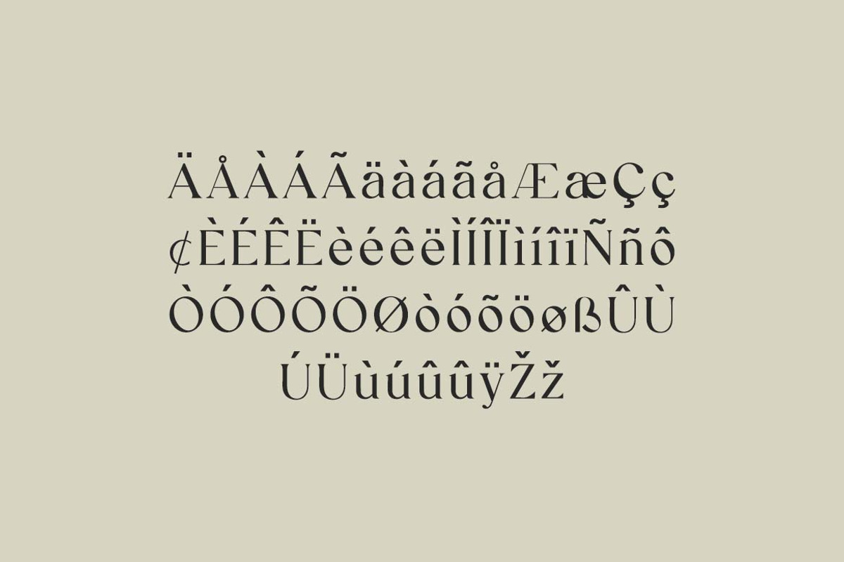 Reanointe Serif Display, a Serif Font by UICreative (Photo 8 of 13)
