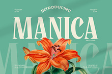 Manica Modern Editorial Serif