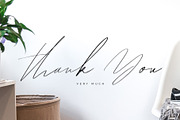 Hegomoni Signature, a Script Font by Raseuki (Thumbnail 13 of 13)
