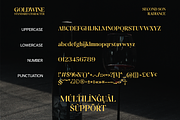 SS Goldwine - Classy Elegant Serif, a Serif Font by Typocracy Studio (Thumbnail 12 of 12)