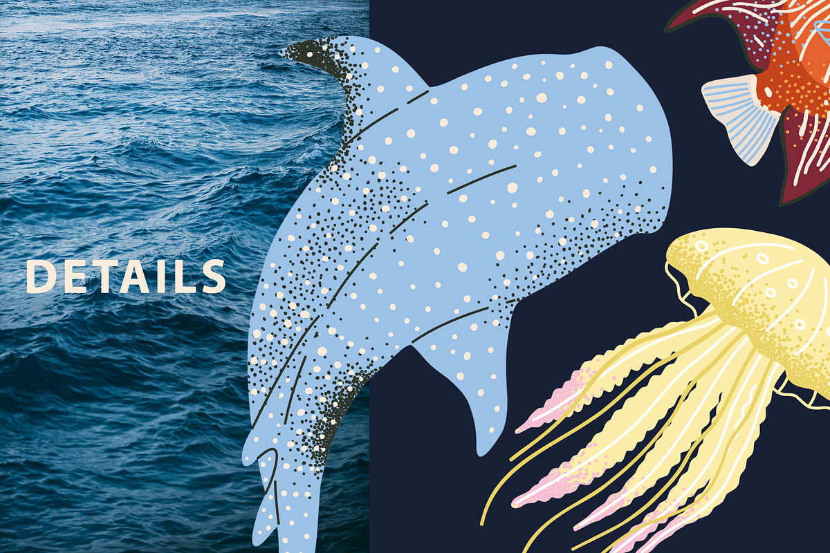 FUNKY OCEAN: clipart, pattern, an Animal Illustration by Elliko shop (Photo 4 of 8)