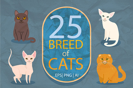 25 breeds of cats, vector