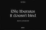 TAN - WAVERLY, a Serif Font by TanType (Thumbnail 21 of 22)