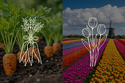 Gardening Vector Illustrations, a Decorative Illustration by Rasgood (Thumbnail 8 of 11)