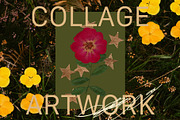 PRESSED BLOOMS Floral Cutouts, an Object Graphic by Desert Poetic (Thumbnail 2 of 7)