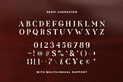 Hartens - Serif Script Font Duo, a Serif Font by Bale Type (Thumbnail 11 of 13)