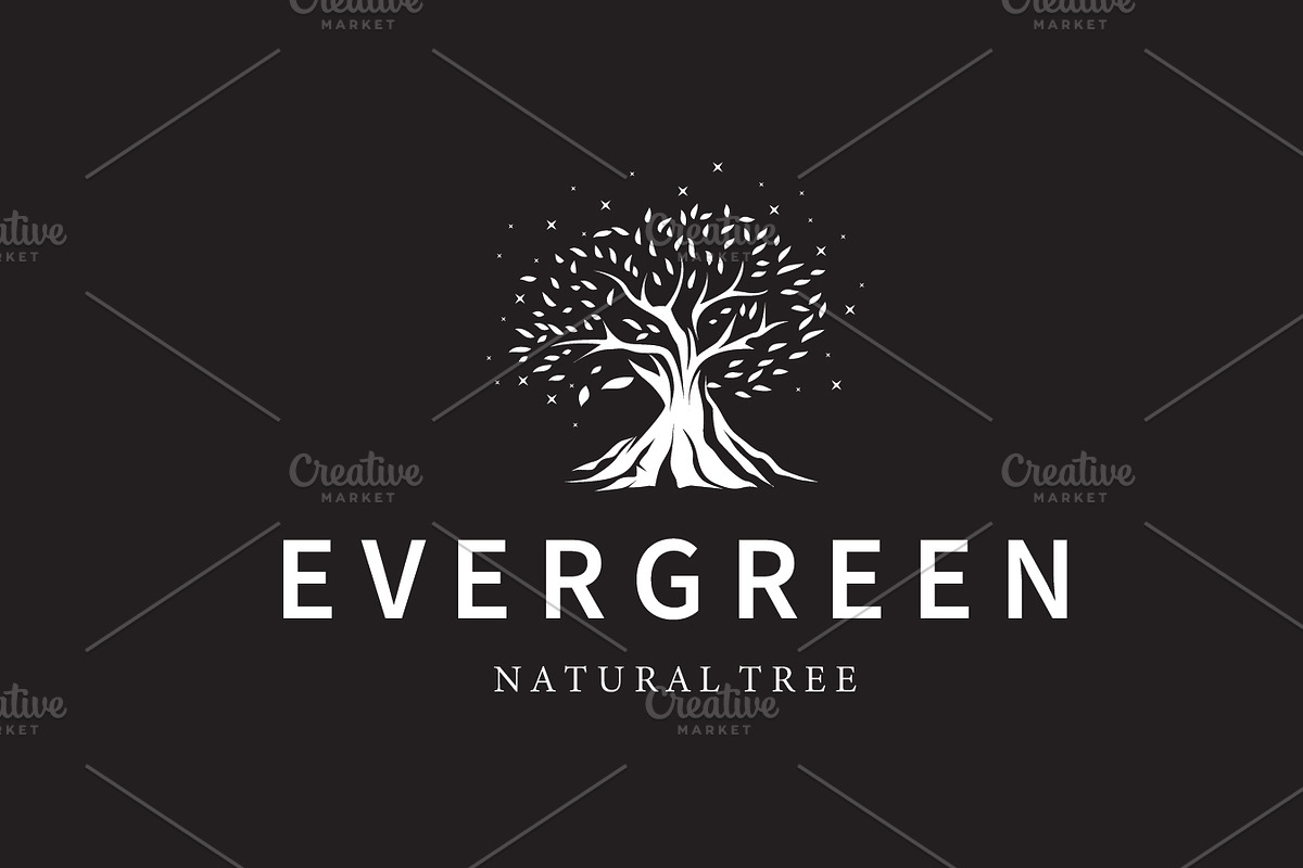 Modern Tree Leaf Icon for Eco, a Branding & Logo Template by Maylianaw28 (Photo 2 of 3)