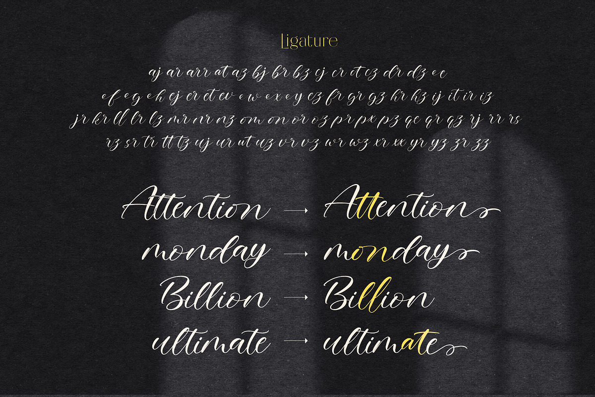 Ellie Mona | Handwritten Script, a Script Font by StoricType (Photo 3 of 14)