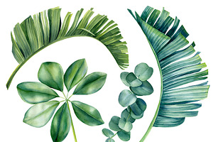 Watercolor Bundle Tropical Leaves