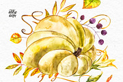 Pumpkins watercolor collection, a Food Illustration by Ann Astro (Thumbnail 17 of 17)