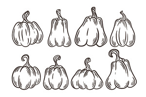 Set of pumpkins of different shapes, a Food Illustration by Tati_Kli