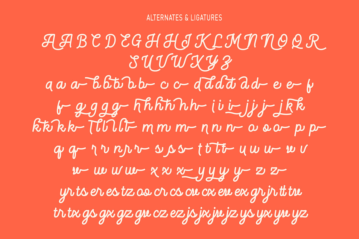 Slightly Famous Monoline Script Font, a Script Font by Arendxstudio (Photo 9 of 9)