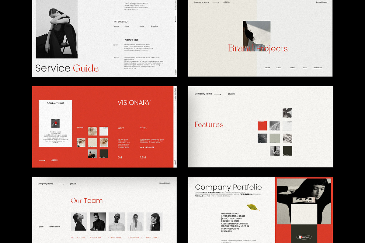 Company Profile | Pitch Deck, a Presentation Template by Studio Industry (Photo 6 of 11)