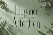 Qavirats - Tall Refined Luxury, a Serif Font by HypeWorksCo (Thumbnail 15 of 20)