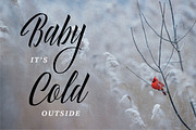 Delphin Spring - Vintage Script, a Script Font by Konstantine Studio (Thumbnail 6 of 9)