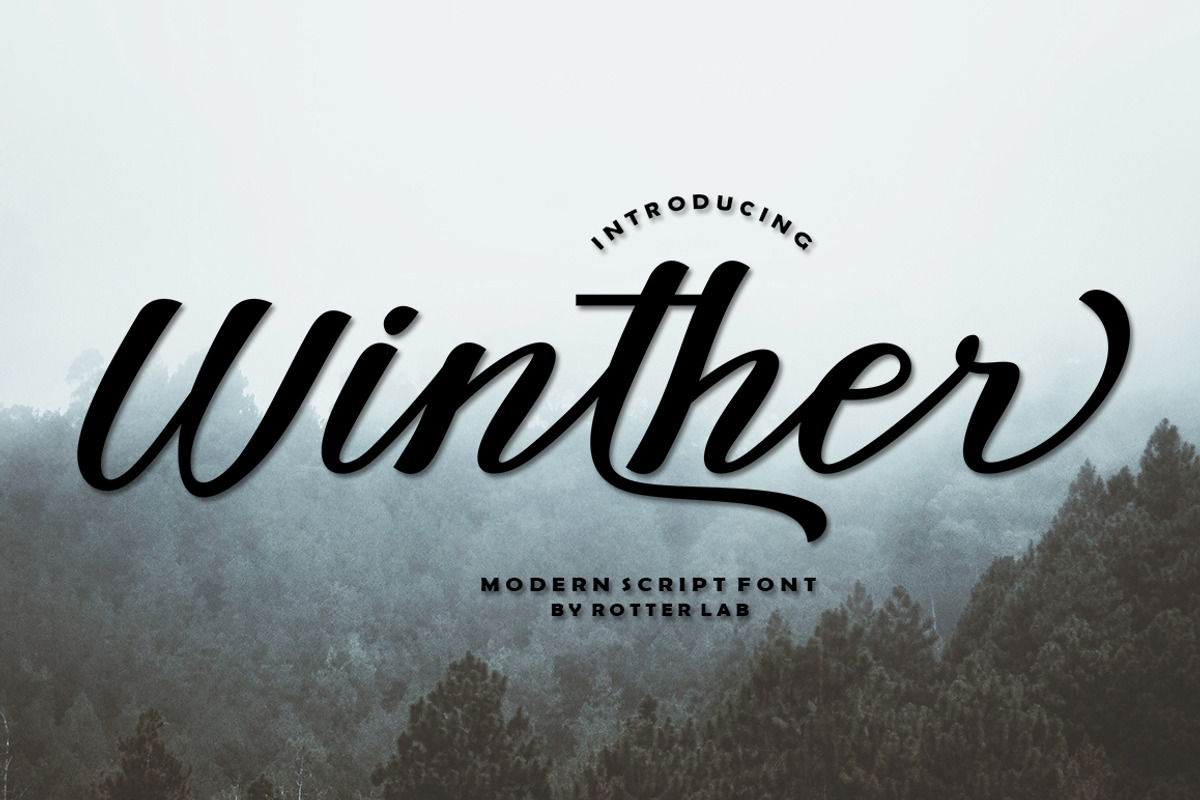 Winther, a Script Font by Rotterlab Studio (Photo 1 of 6)