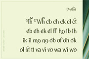 Mollas Typeface, a Serif Font by alit design (Thumbnail 8 of 18)