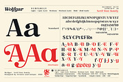 Wolfgar - Serif Font Family, a Serif Font by Artistic & Unique (Thumbnail 5 of 15)