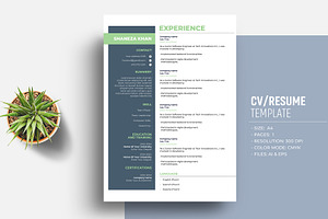 Job Winning Resume/CV Template