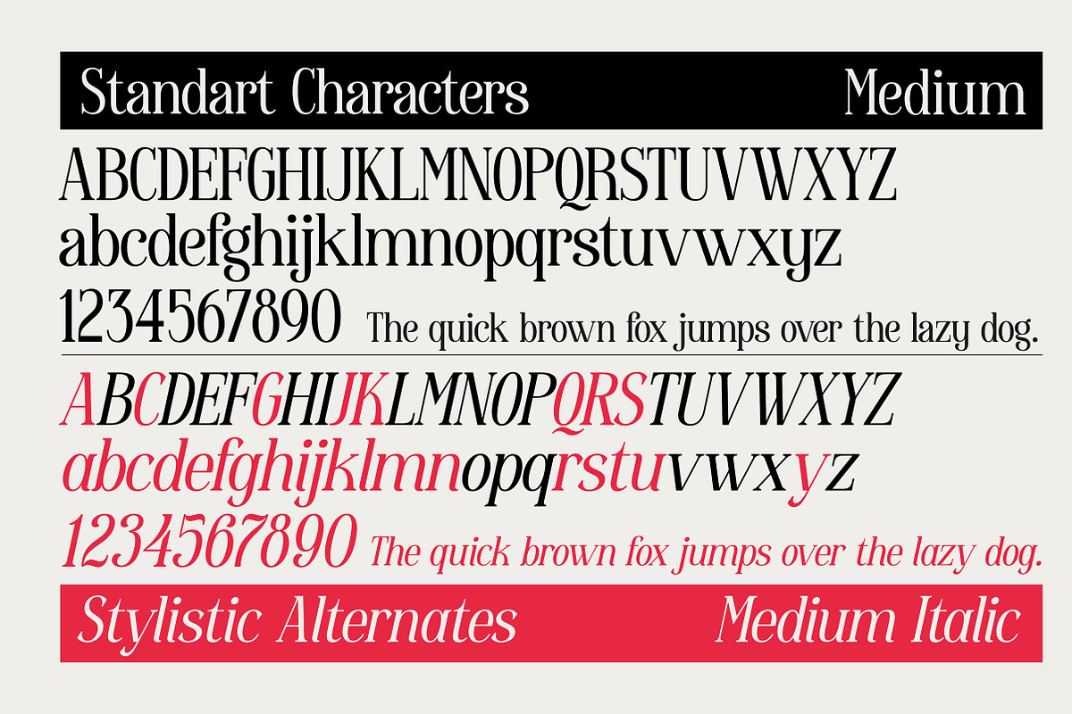 Enigmatica - Serif font family, a Serif Font by Artistic & Unique (Photo 3 of 15)